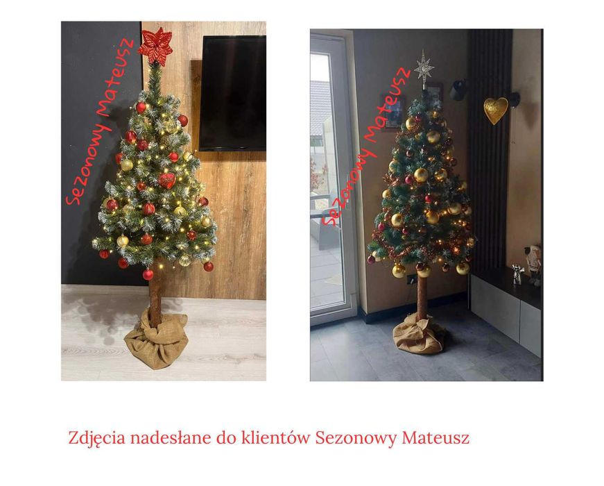 Choinka na pniu 180 cm Sosna diamentowa 220 cm Choinki sztuczne 160 cm