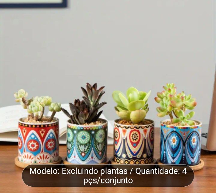 Vasinhos para suculentas