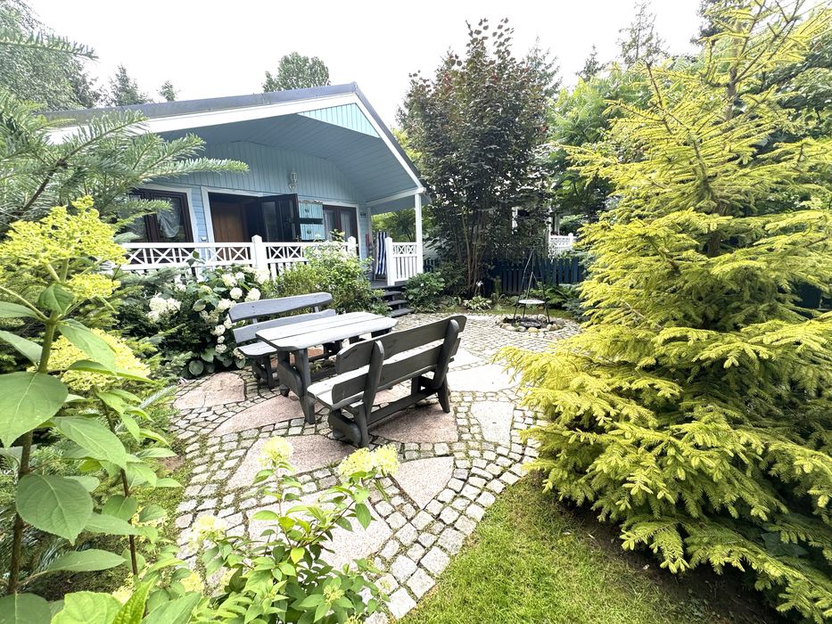 Domki 2-osobowe oraz Rodzinne. Wakacje z psem