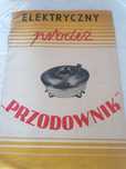 instrukcja prodiż elektryczny