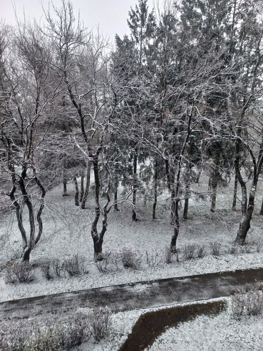 Продаж, квартира від власника, центр