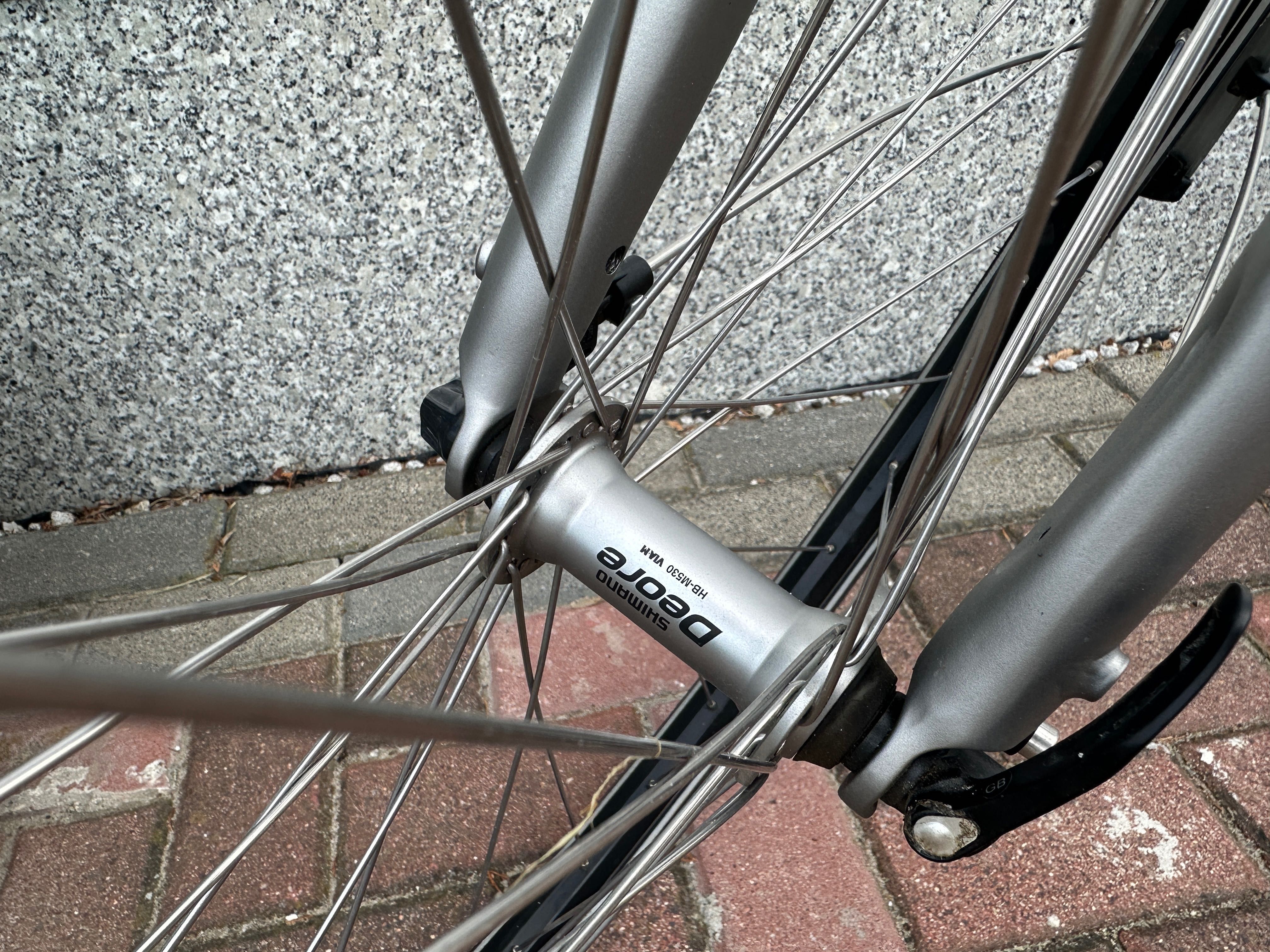 Rower miejski RIXE Calais Exklusivmodel! Titanium, Rama S, koła 28’
