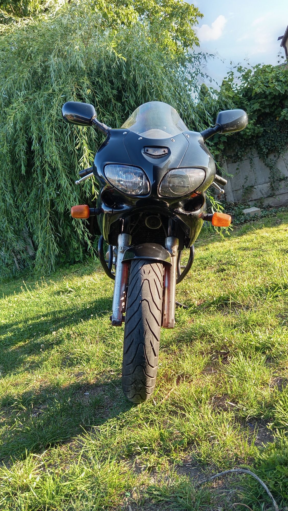 Suzuki SV 650s 1999r
