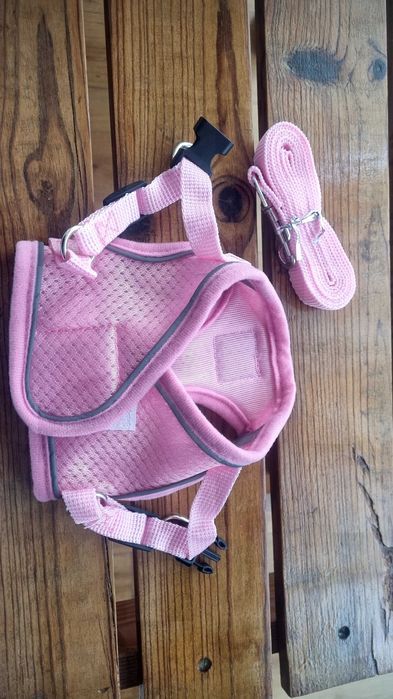 Vendo Peitoral para cão de porte pequeno, nunca utilizado