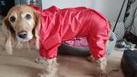 Płaszcz przeciwdeszczowy dla psa kurtka