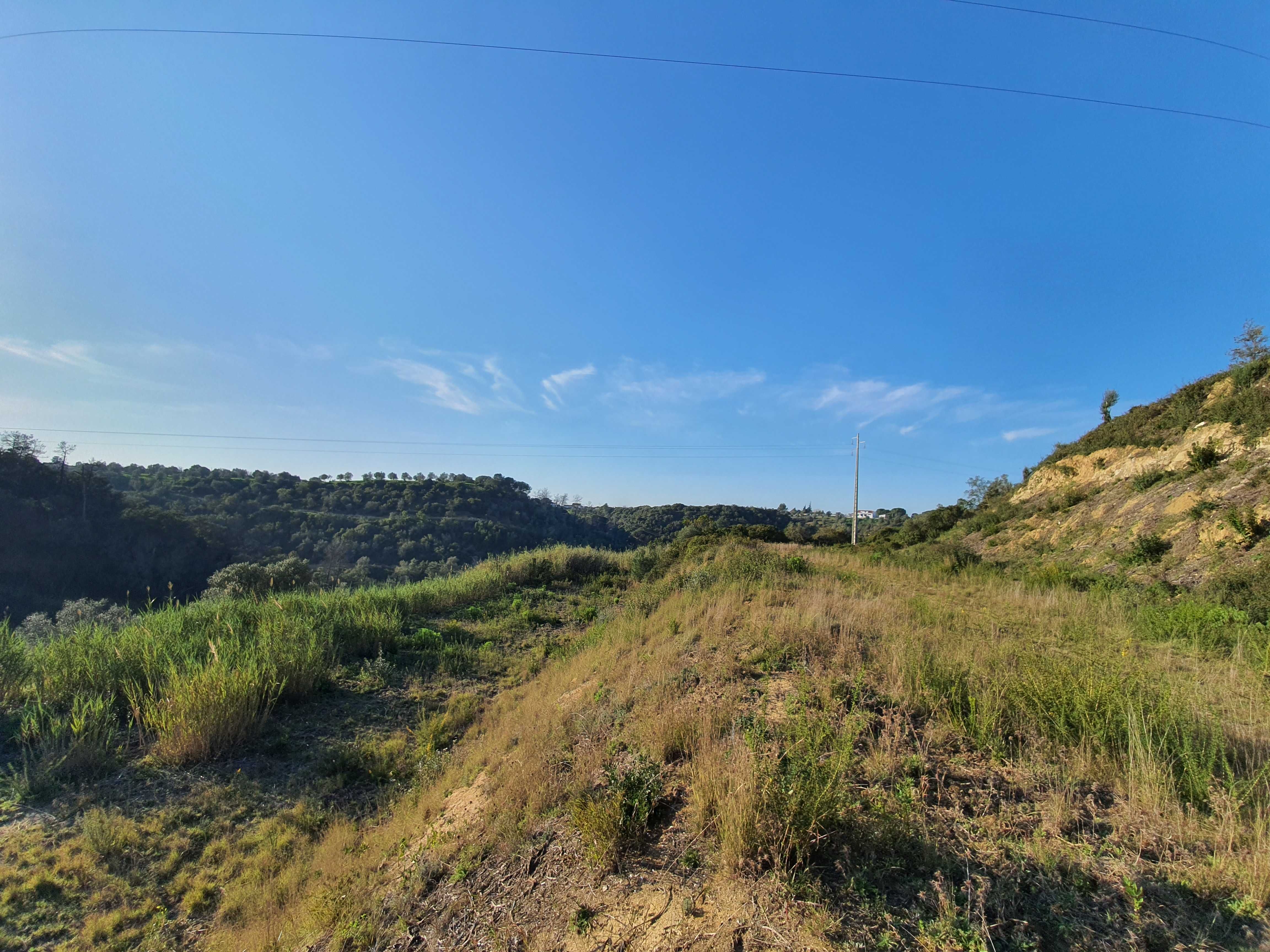 Terreno com 9 hectares Santarém