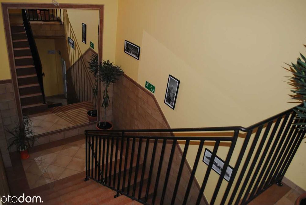 Wynajmę lokal na biuro lub usługi Oława