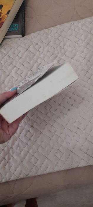 O meu programa de Governo