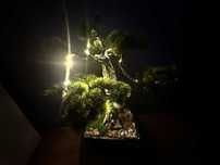 Drzewka bonsai ,sztuczne drzewka bonsai, RĘCZNE WYKONANIE, BONSAI!!!