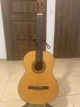 Gitara Minyard Martinez MCG-20S
