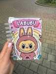 Książka dla dzieci Labubu