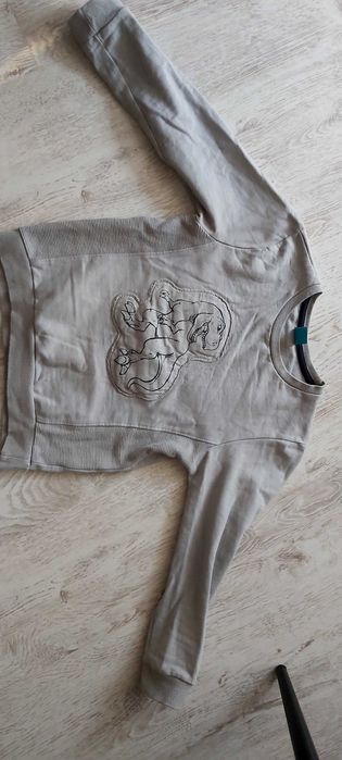 Szara Bluza z t-rexem
