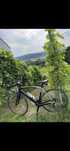 Rower szosowy Van Rysel RCR Road CF