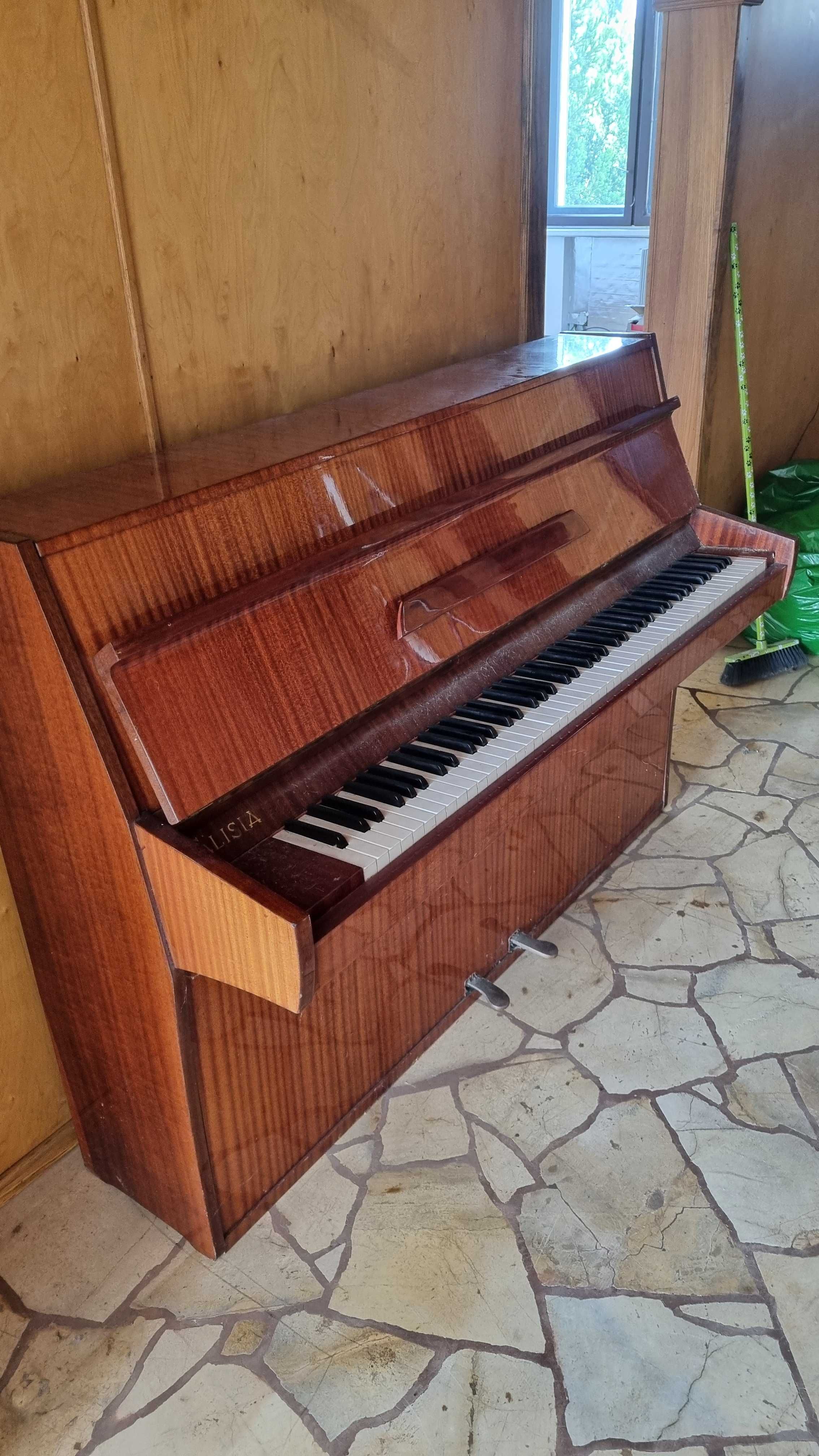 Pianino Calisia do sprzedania