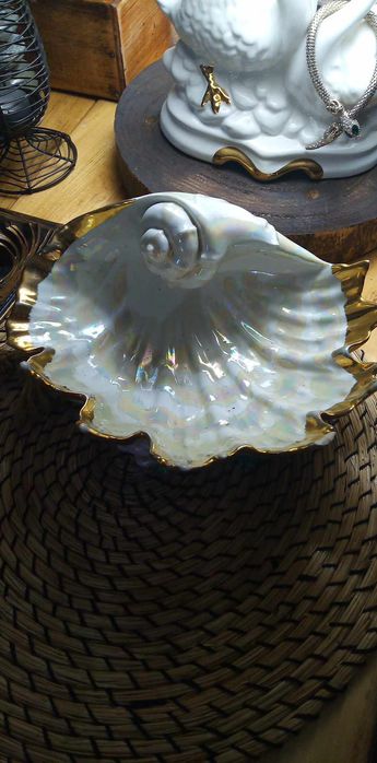 Patera  muszla patera