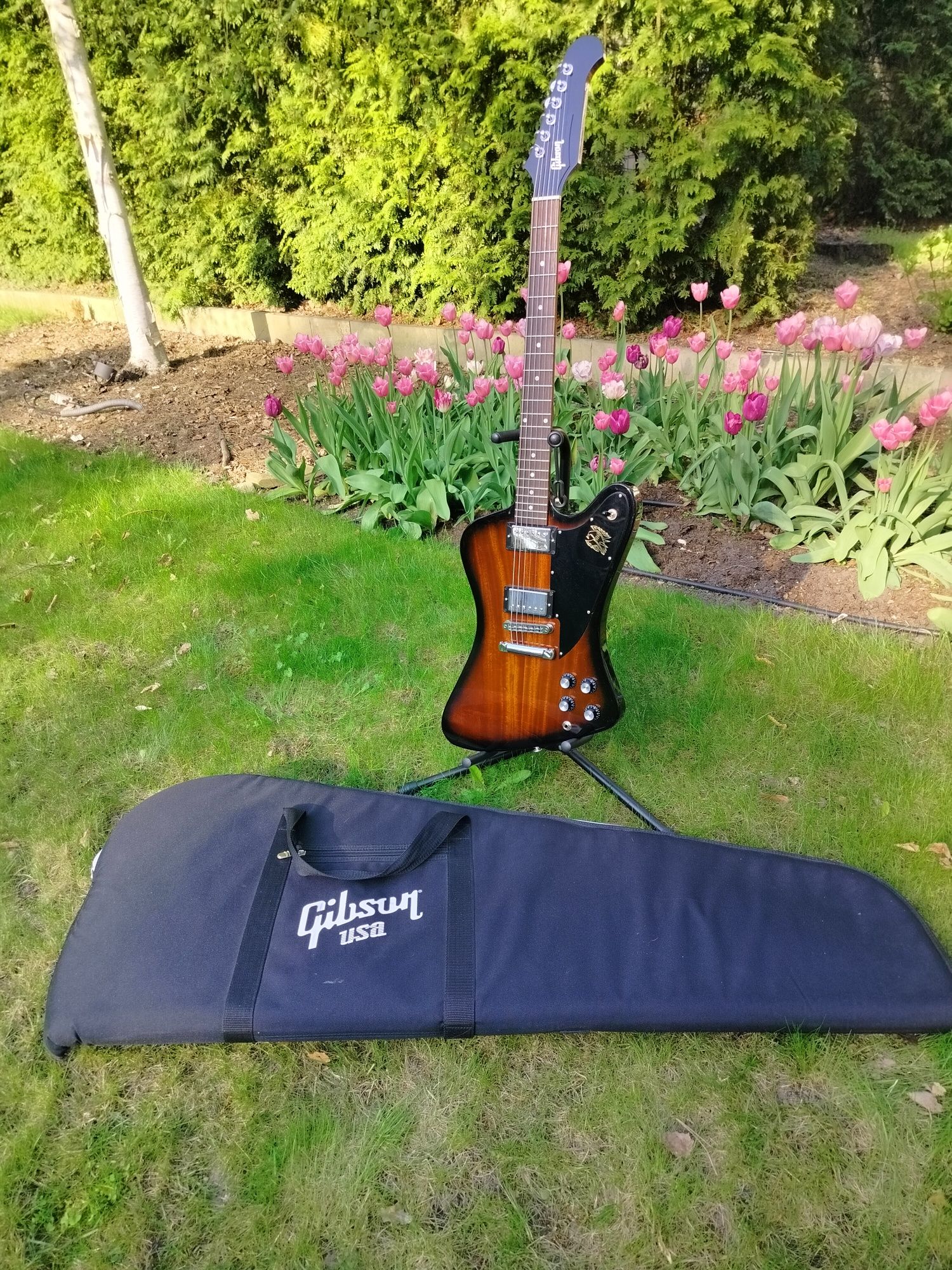 Gibson Firebird Studio 2017
