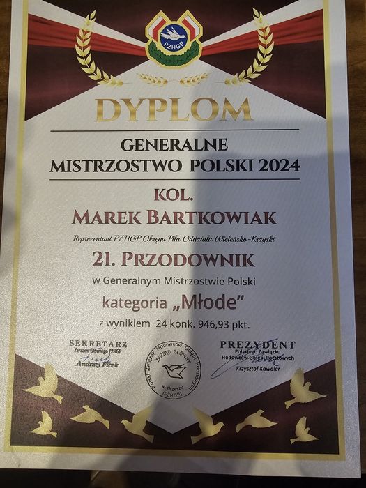 Gołębie Pocztowe rozpłodowe i lotowe  Wielokrotny Mistrz