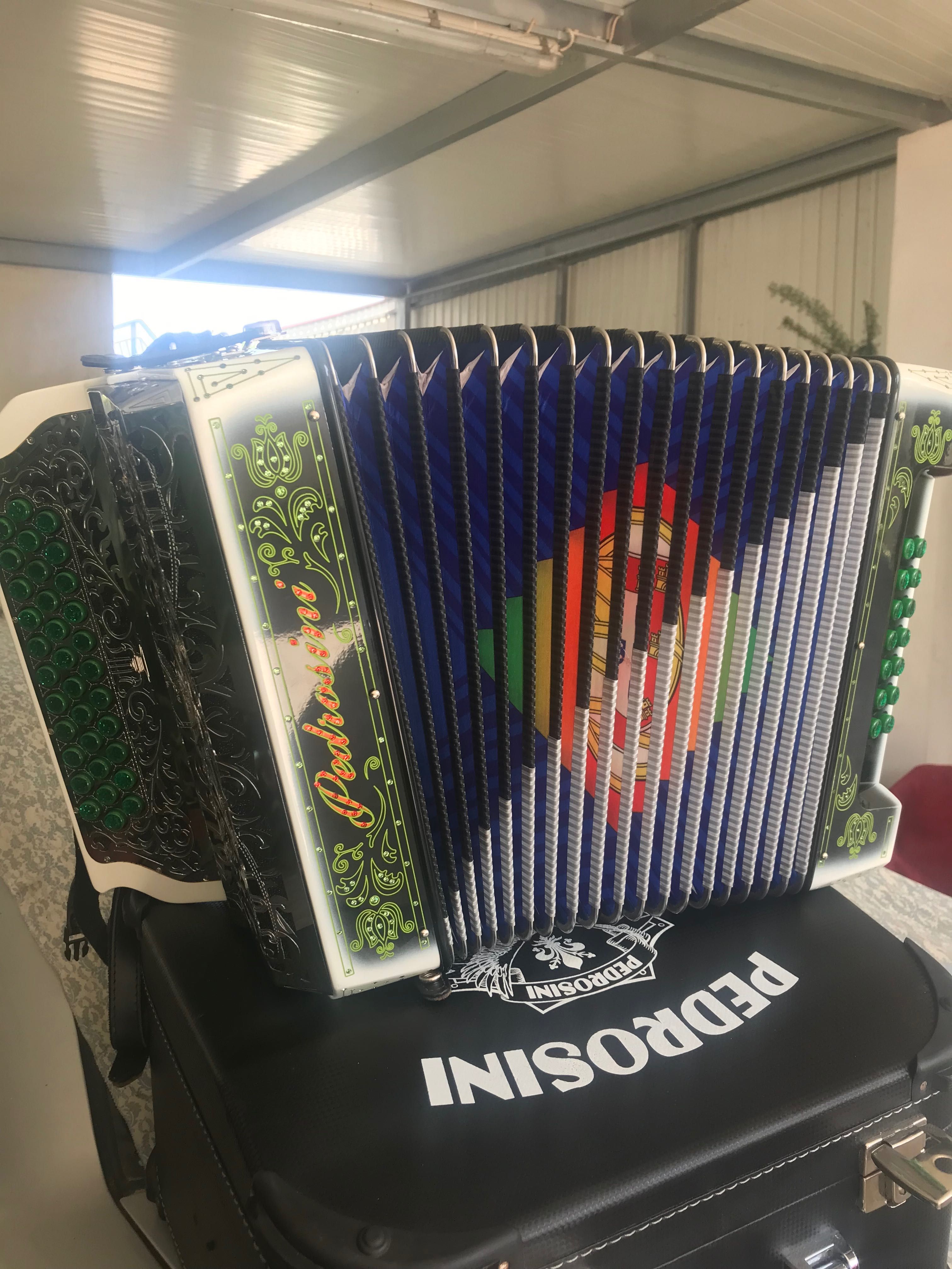 Vendo concertina da Famosa marca Pedrosini