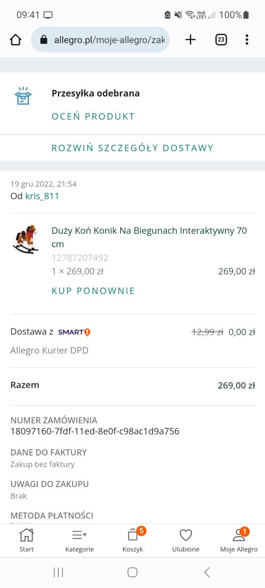 Konik na biegunach duży