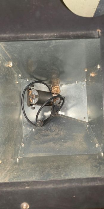 Salamandra a peletts RITA