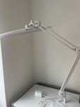 Lampa sonobella