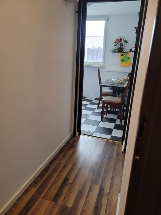 Mieszkanie 2 pokoje do wynajęcia wynajmę na wynajem Ziębice Ziębicach