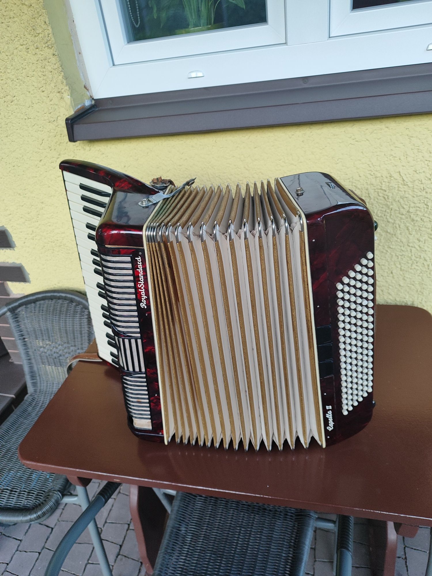Akordeon 120 basów