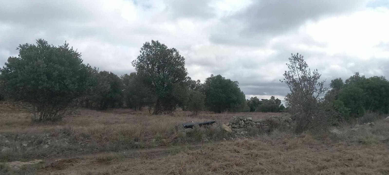 Quinta em alenquer cabecos