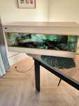 Terrarium 100x40x40