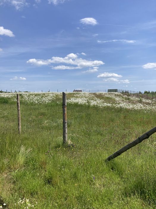 Działka Kaszuby, Sobącz  k. Kościerzyny. Zamiana auto