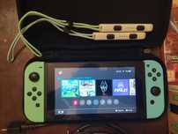 Nintendo switch animal Crossing edition