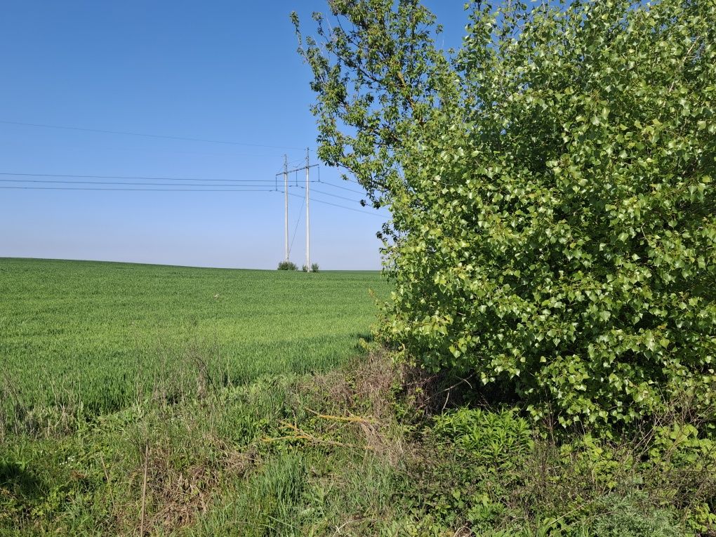 Продам пай, фасадний об'їздна Сарни-Львів