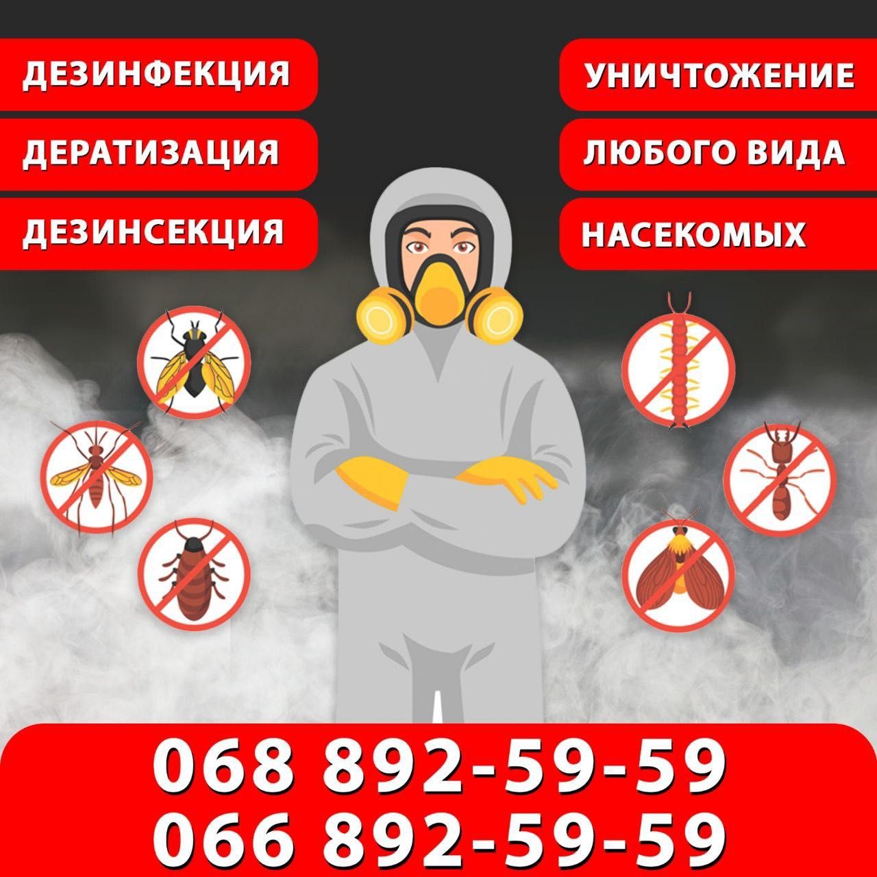 Знищення комах тарганів клопів бліх ос шершнів  кліщів ос шершнів