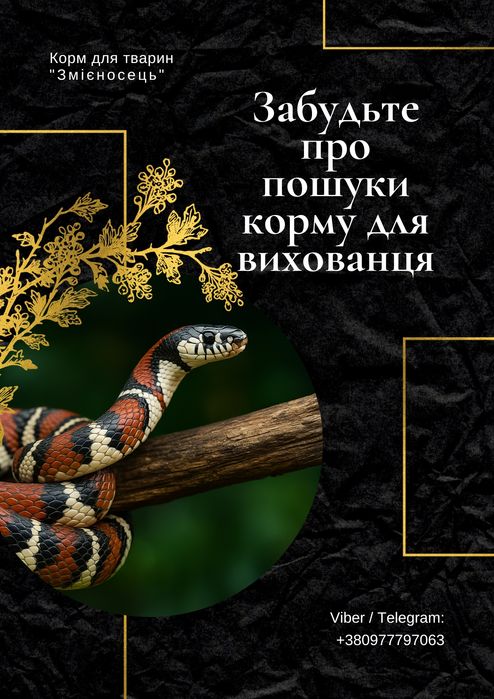 Крысы , мыши кормовые. Щури , миші кормові. Корм для змій