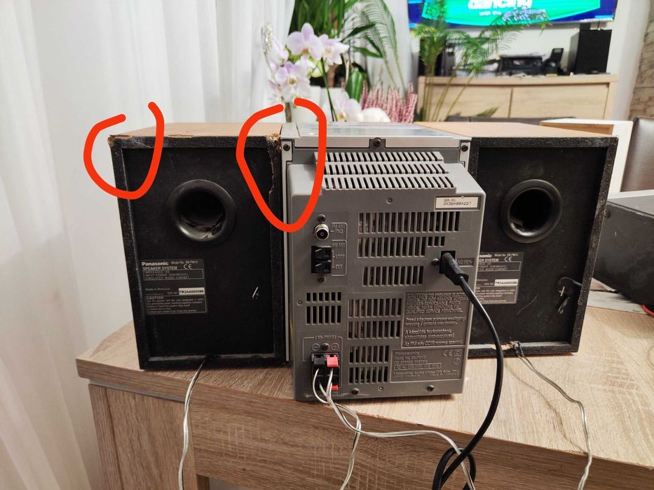 Wieża Panasonic PM10