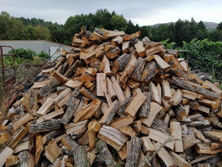 Lenha mistura seca