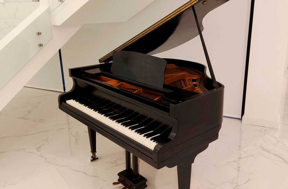 Piano de Cauda Waldberg - Berlin