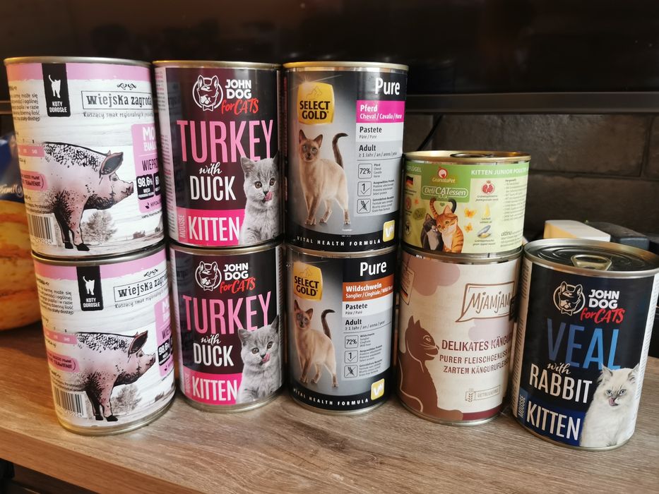 Karma dla kota, różne rodzaje