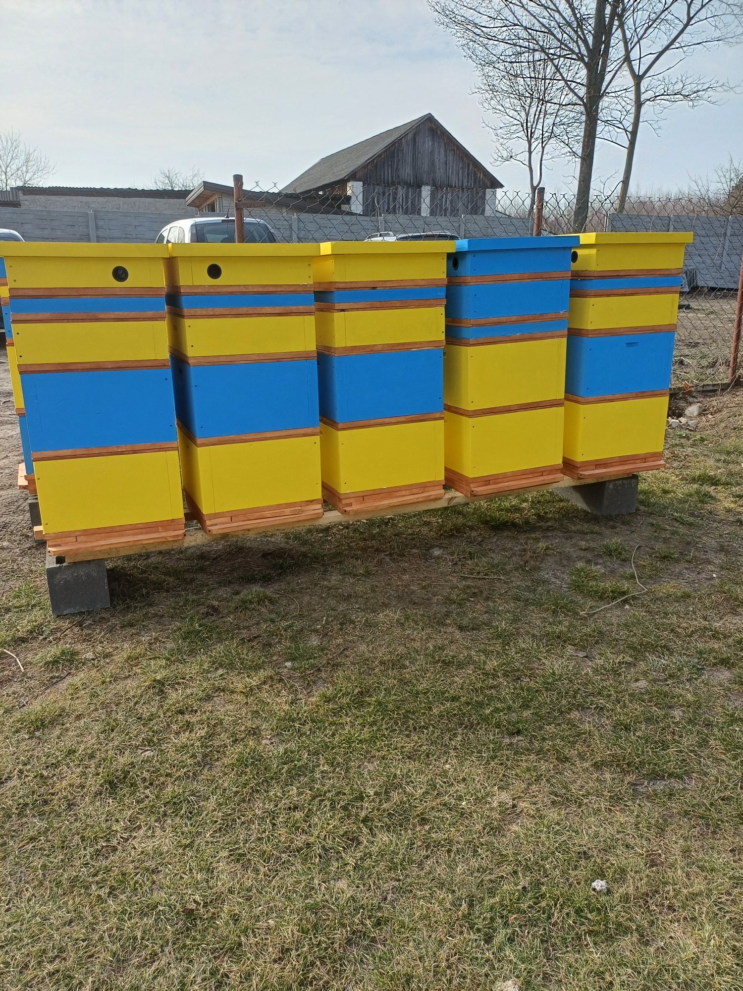 Daszek wysoki do ula wielkopolskiego. Pszczoły, sule, styrodur