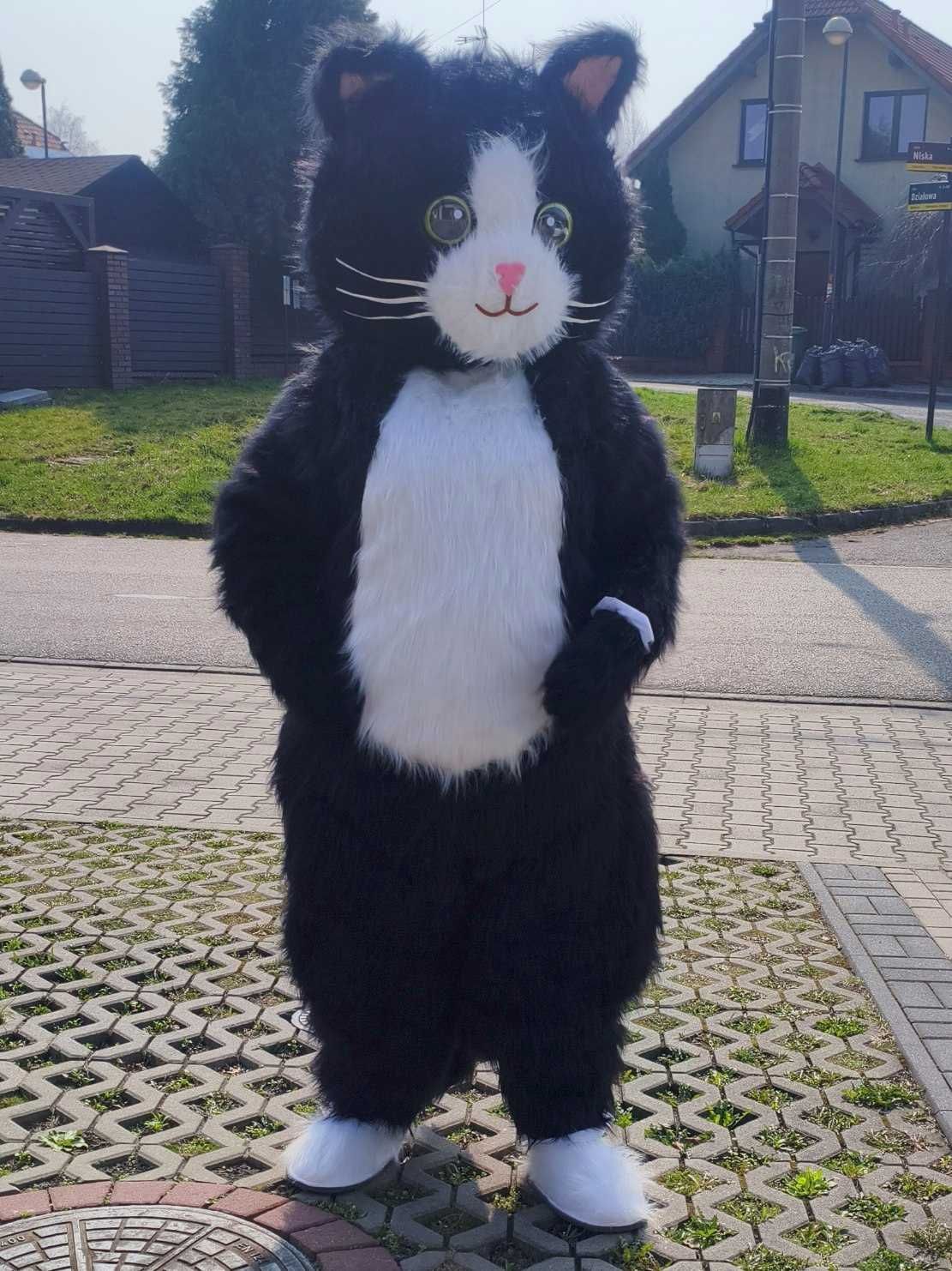 Żywe maskotki wynajem wysyłkowy strojów Misio Piesek Panda Kot Smok