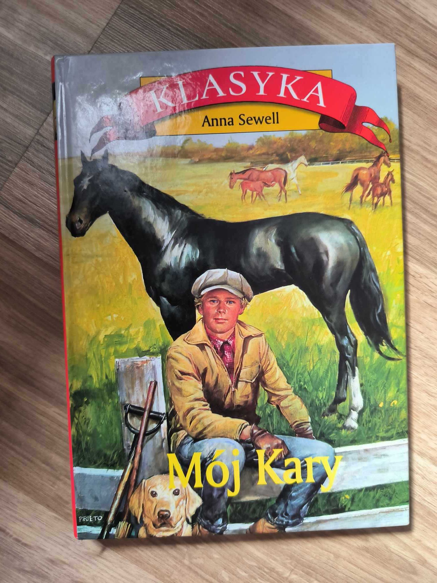 Mój kary. Anna Sewell