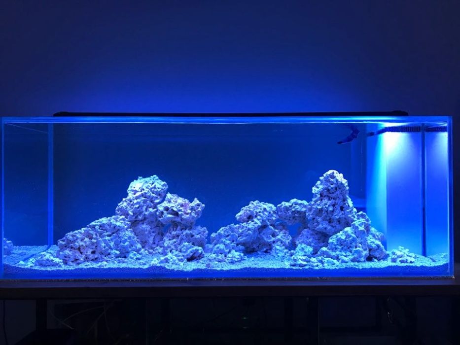 Aquaforest Micro E 10ml do akwarium morskiego Sklep Turkusowe Zoo