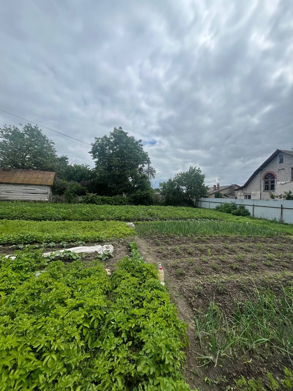 Продаж будинку з великою ділянкою
