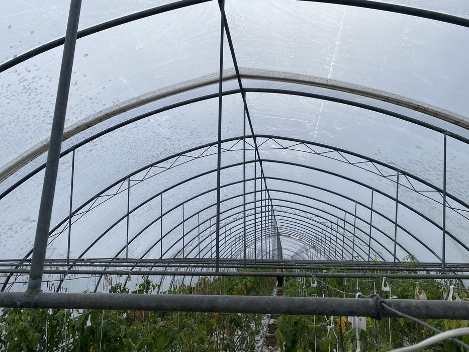 Tunele foliowe 2 sztuki wraz z wyposazeniem centralne nawadnianie.