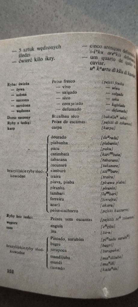 Rozmówki portugalskie PWN 250s.