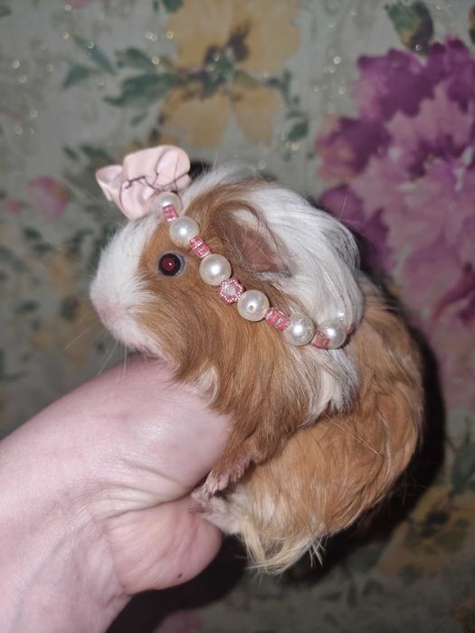 Неперевершена красуня з блакитними очима