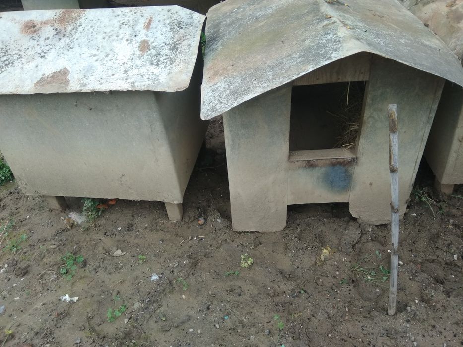 Casotas para cães
