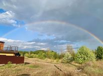 с.Новосілки, м.Вишгород. -25 соток,  ліс та р. Десна. -20 хв до Київа