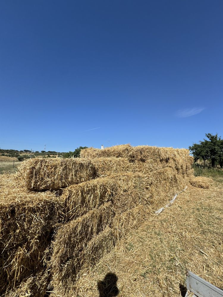 Fardos de palha pequenos