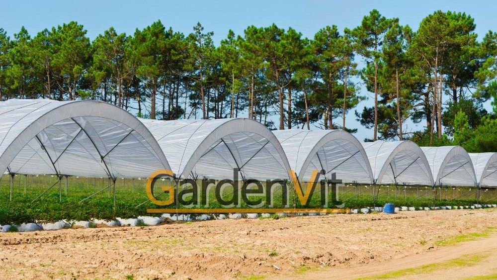 Folia tunelowa GardenVit